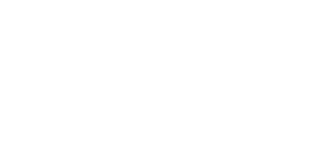 FNSS